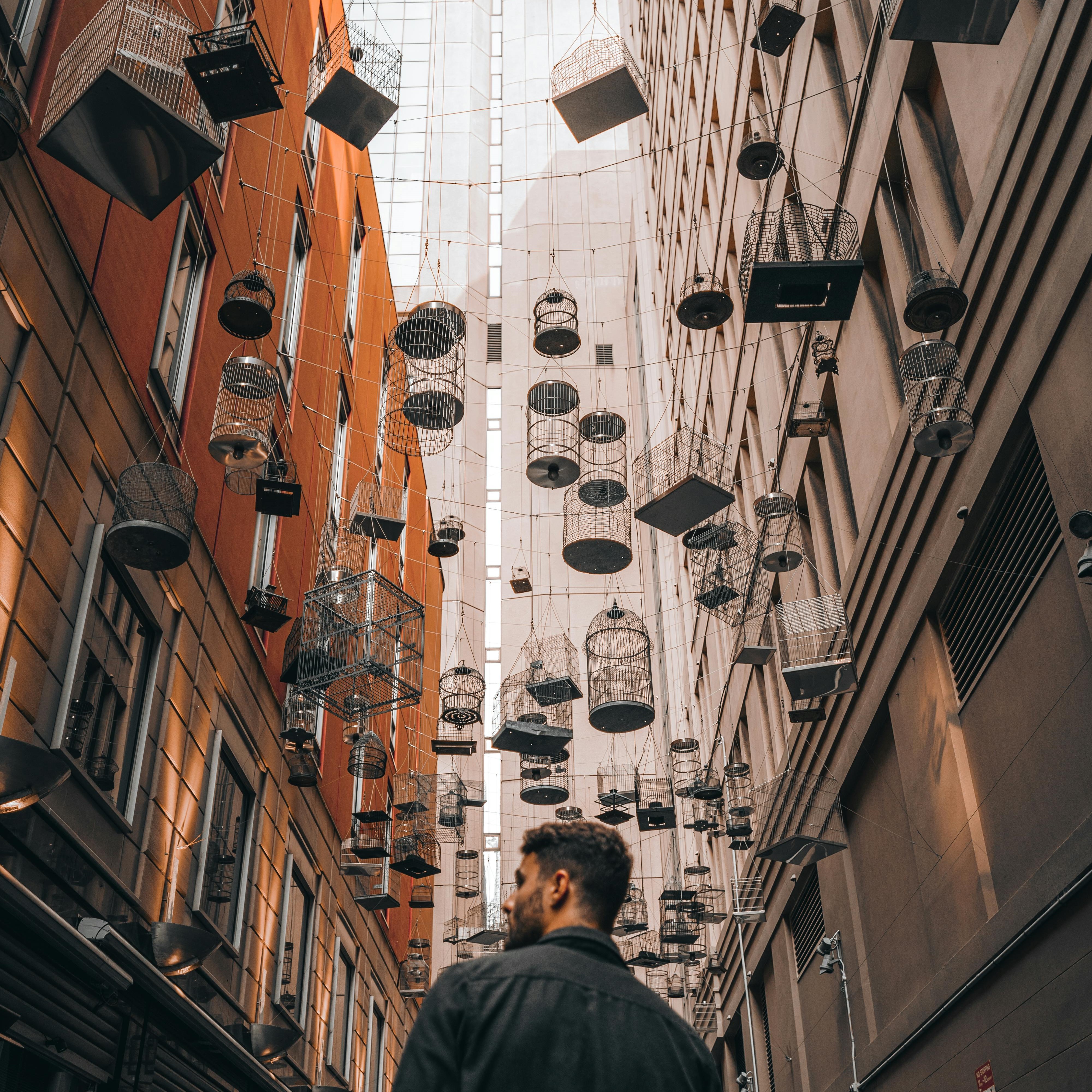 Narrow street where a lot of birdcages hanging between the buildings